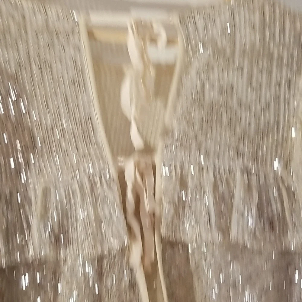 Free People sparkly sequin blouse - Picture 3 of 11